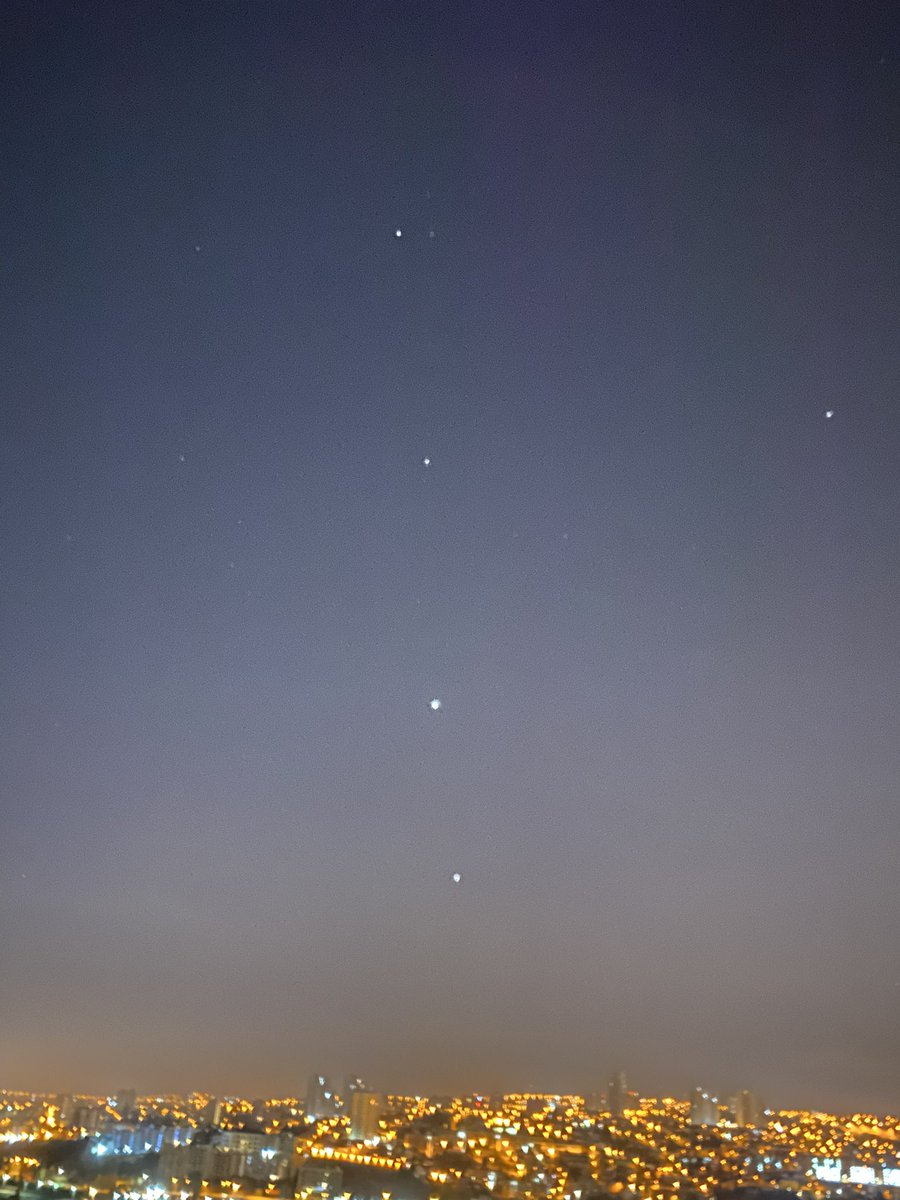 Alejandra tweet media