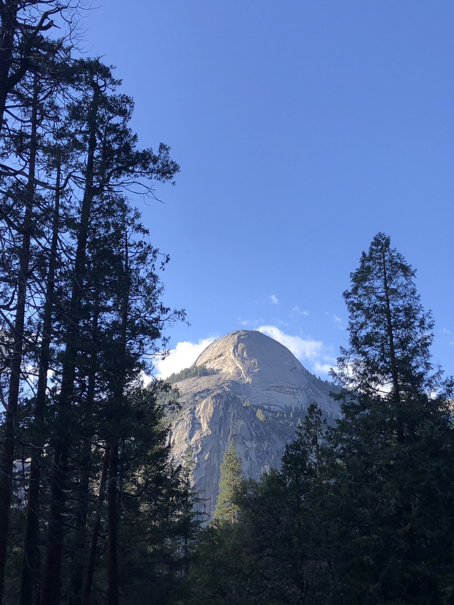 Pi_Roe's tweet image. Family fun…