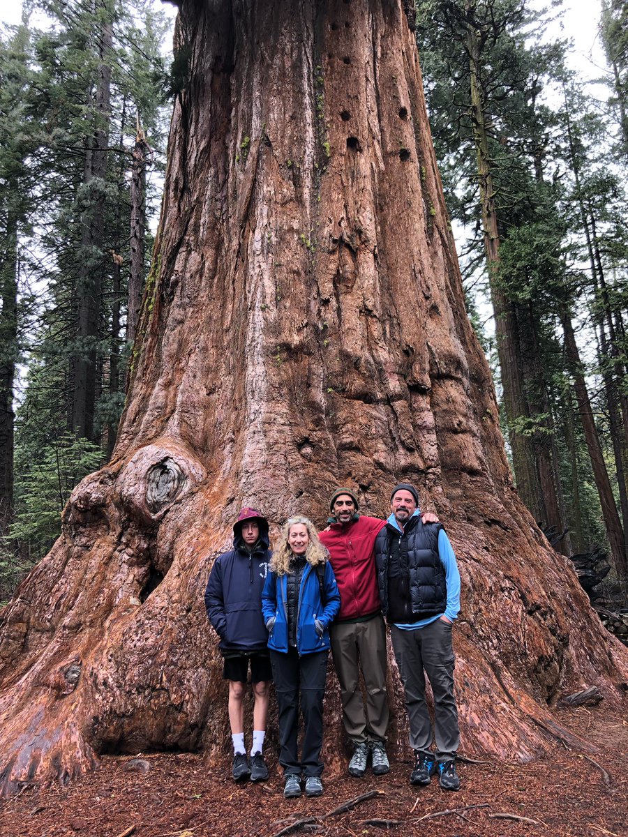 Pi_Roe's tweet image. Family fun…