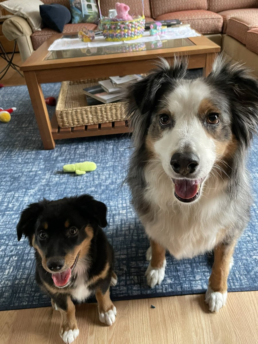 bculross's tweet photo. @darth https://t.co/OvKZAHVwXf