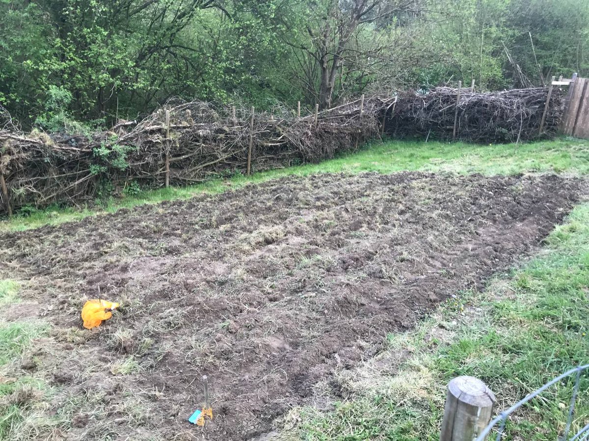 Die #kartoffeln wohnen ab jetzt draußen 🙂