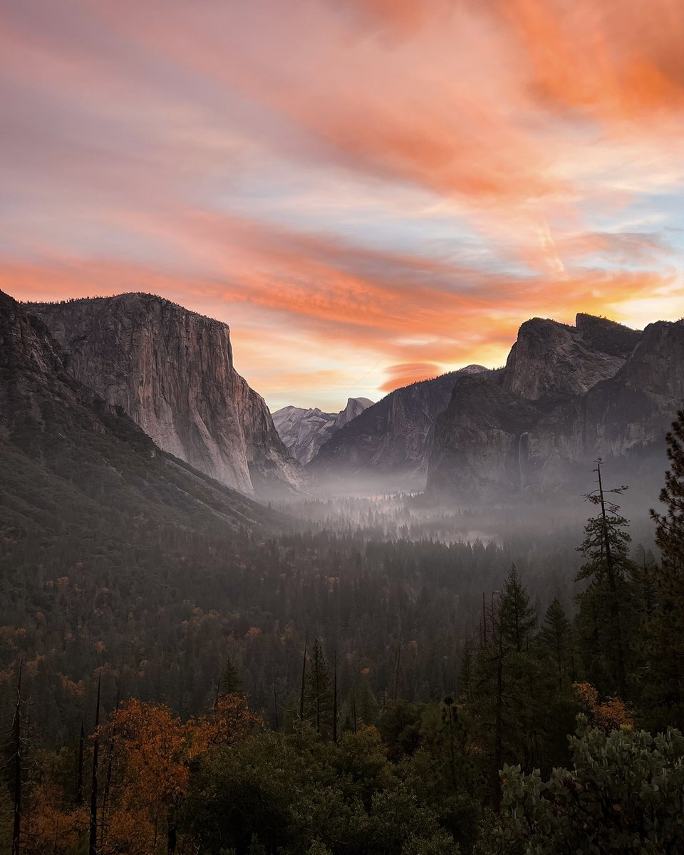 Tim Cook tweet media