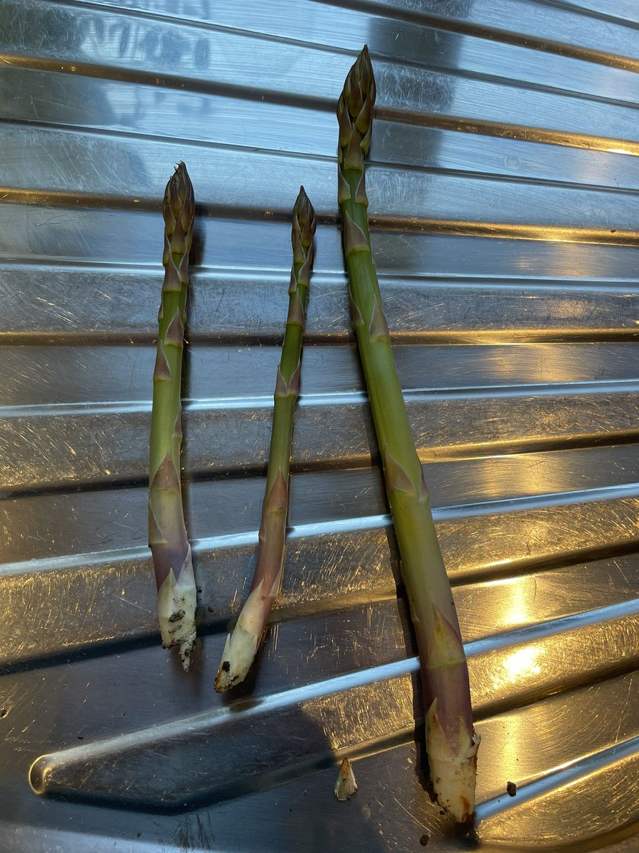 Alex Child tweet media