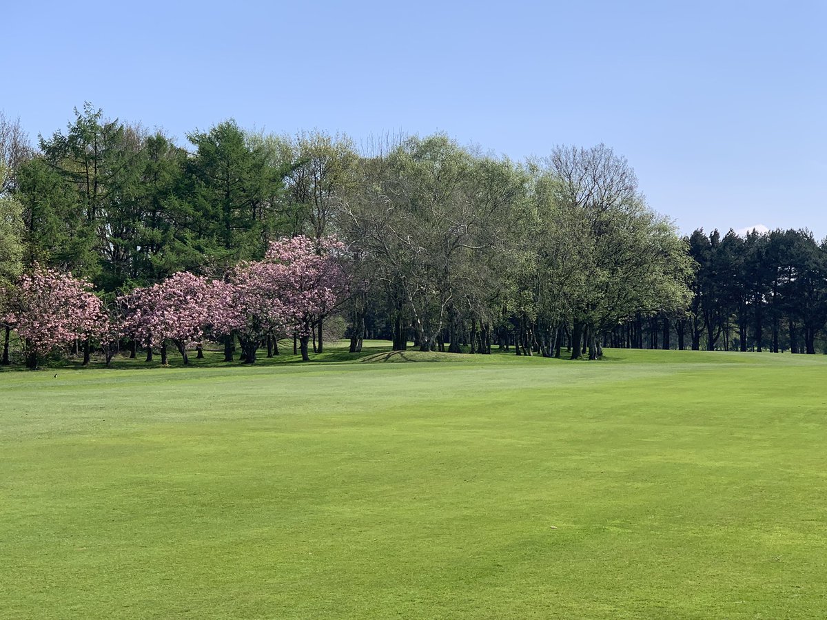 richardapparker's tweet photo. Stockport Golf Club looking resplendent today in the early Spring sunshine @StockportGC @sgcgreens https://t.co/vS0CtpXuvr
