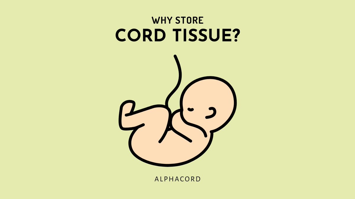 Why store cord tissue? Let us tell you! #stemcells #stemcellbanking #alphacord #alphamom #alphacordfamily #stemcellstorage  alphacord.com/cord-tissue-3/