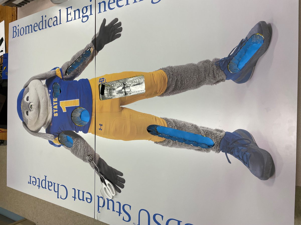 SDState_BMES's tweet photo. The end of the semester is here! Here is a recap of some fun BMES activities!

We had a fun and educational anatomy lab tour with Professor Ellis. 
We created a nontraditional Operation game board featuring Jack the Jackrabbit! https://t.co/48c902ly02