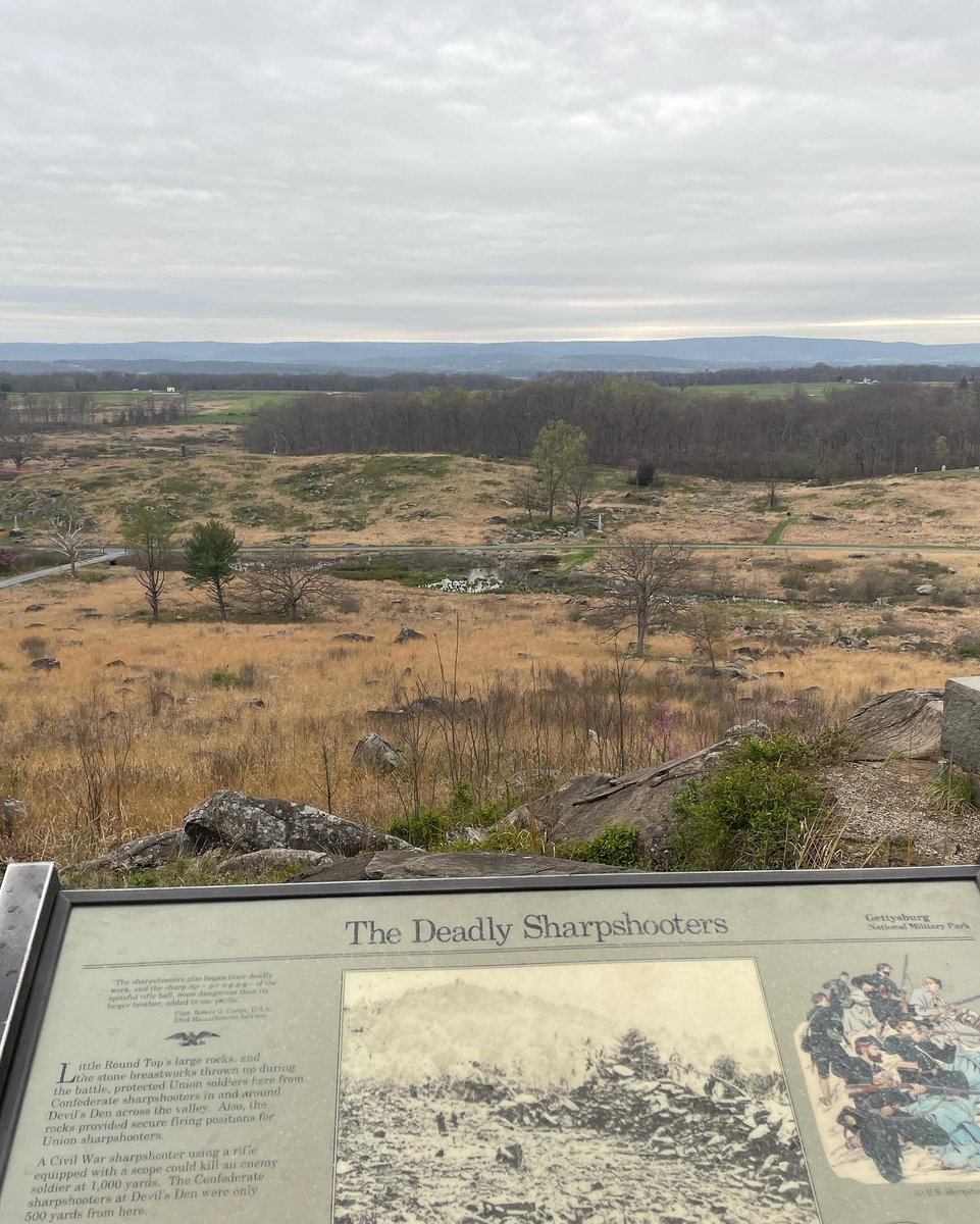 Melanie Jones tweet media