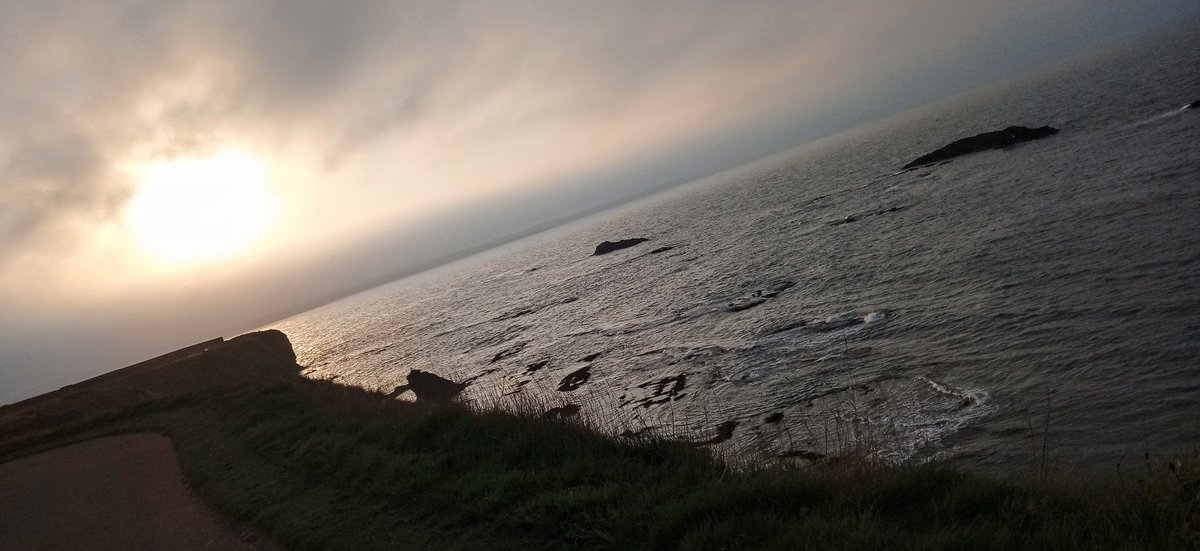 JorvikLass's tweet photo. @RenateKriegler @CatsGiant Try this view: is that an ear I see, emerging from the deep... #GCOD Submariner sub-species, perchance? https://t.co/5UoiUrBupa