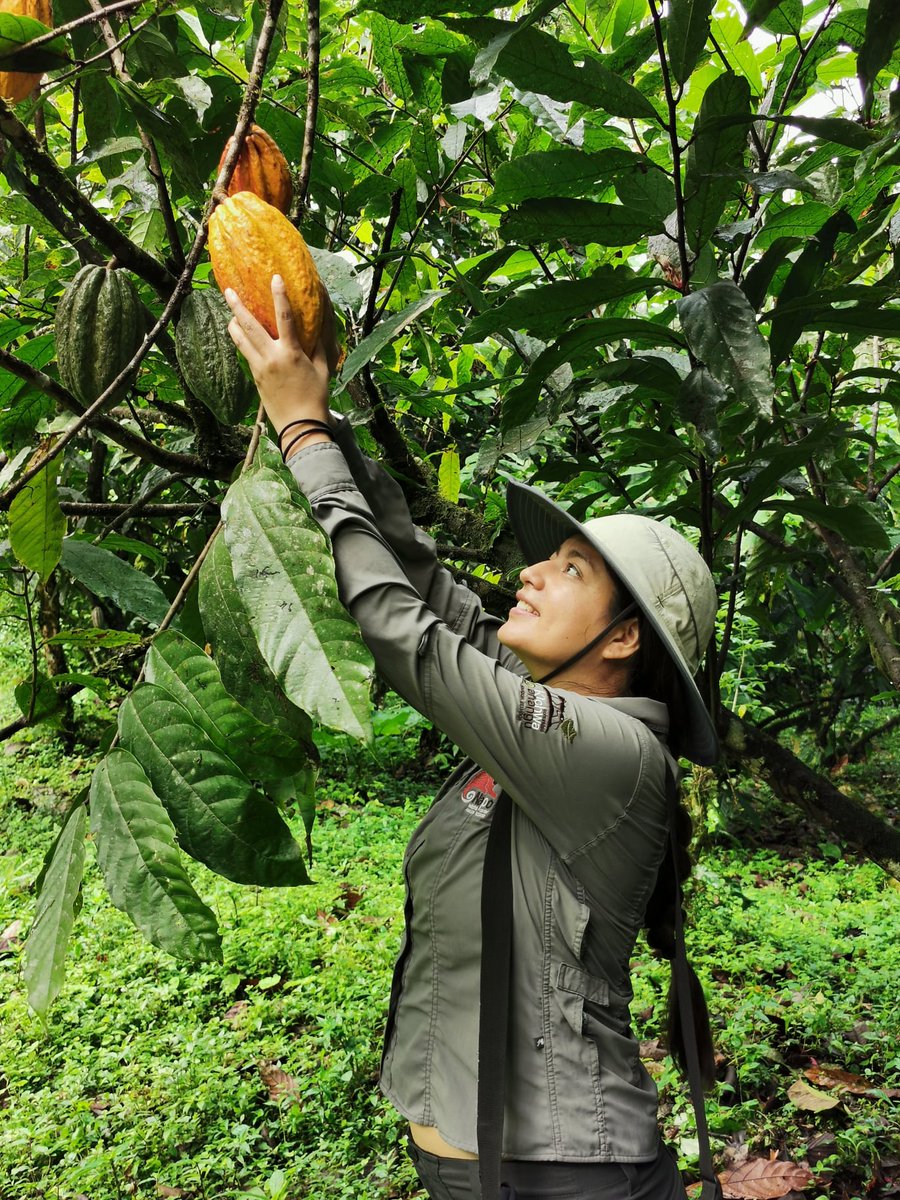 HappyGringo's tweet photo. #EcuadorCloudForests ๐๐ Mashpi Community Tourism An off the beaten track experience, taking you deep into Ecuadorโs biodiverse cloud forest ๐ ๐๐ Check out our page for more information about Mashpi Community Tourism https://t.co/1VXulowGII
#mashpi #ecuadortours #happygringo https://t.co/rz1UkT2iun