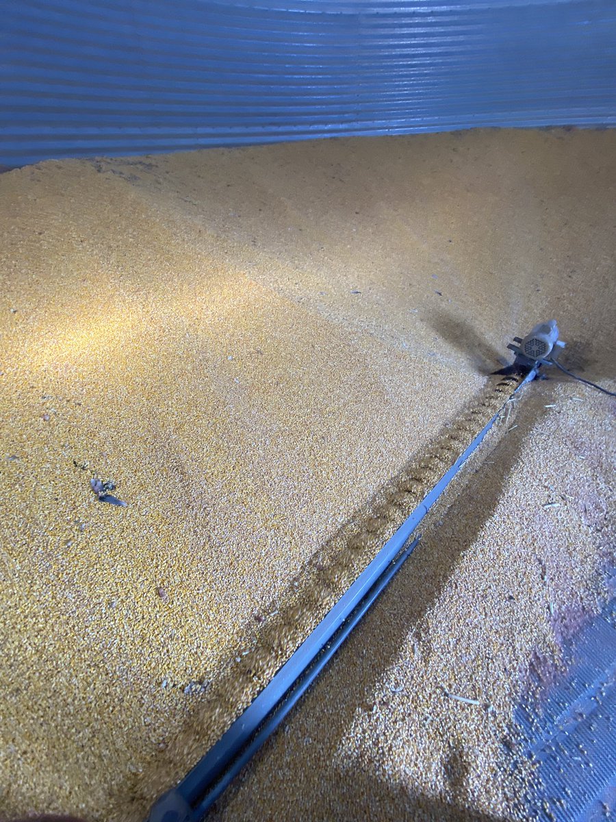 hayuchad's tweet photo. At least it’s worth something even if it takes an hour for a load #oldcrop #21corn https://t.co/mTkXZ3wHJs