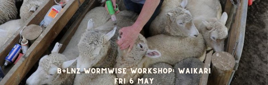 B+LNZ Wormwise Workshop: Waikari - Fri 6 May - 11 am - 3 pm

This workshop will cover what's involved in being 'Wormwise' and drench strategies for your farm.

Find out more about this event/register here:
beeflambnz.com/events/blnz-wo…

#Wormwise #beeflambnz