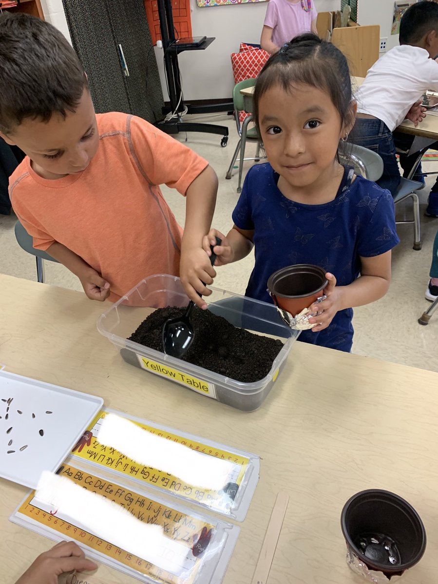 MrsBishopNPSD's tweet photo. Learning all about how to care for our earth 🌍 this week in K. Today students planted sunflower 🌻 seeds. They are excited to watch them grow! https://t.co/ySkgvf9GWl