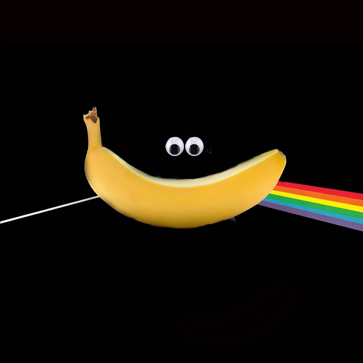 gobananagoband's tweet photo. HUGE NEWS!!! Our new full-length album “Dark Side of the Banana” comes out in two weeks on Friday, May 6! Available wherever you get music…or bananas https://t.co/Z250GAaVHT