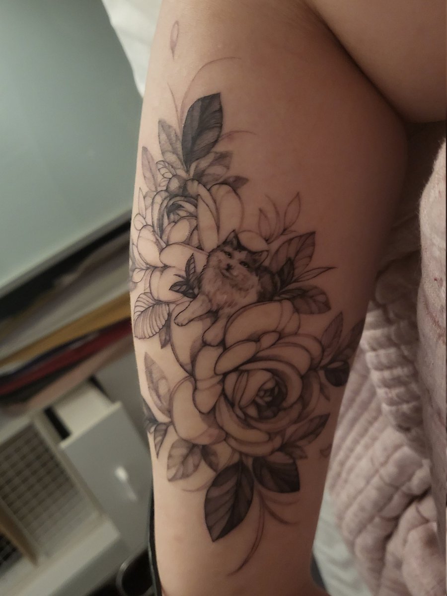 Sarah Federman tweet media