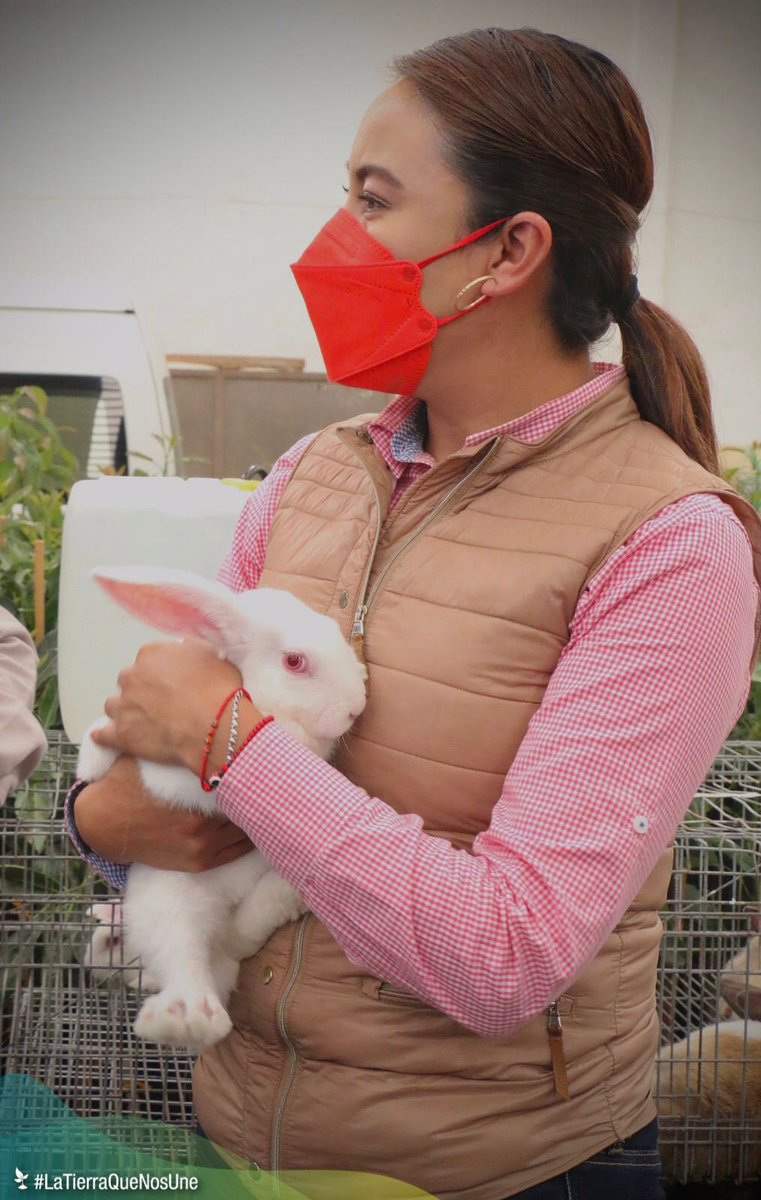 LetyMejiaOfic's tweet photo. Hoy en #Texcoco iniciamos la campaña 2022 de Vacunación contra la enfermedad hemorrágica del conejo.
Así refrendamos el compromiso del @Edomex para seguir impulsando esta actividad productiva en beneficio de productores de 44 municipios de la entidad.
#LaTierraQueNosUne. https://t.co/V9Af2pk2g0