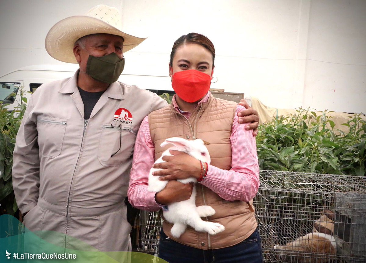 LetyMejiaOfic's tweet photo. Hoy en #Texcoco iniciamos la campaña 2022 de Vacunación contra la enfermedad hemorrágica del conejo.
Así refrendamos el compromiso del @Edomex para seguir impulsando esta actividad productiva en beneficio de productores de 44 municipios de la entidad.
#LaTierraQueNosUne. https://t.co/V9Af2pk2g0