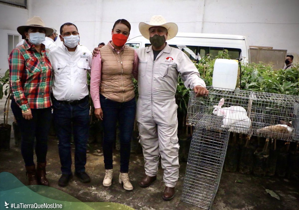 LetyMejiaOfic's tweet photo. Hoy en #Texcoco iniciamos la campaña 2022 de Vacunación contra la enfermedad hemorrágica del conejo.
Así refrendamos el compromiso del @Edomex para seguir impulsando esta actividad productiva en beneficio de productores de 44 municipios de la entidad.
#LaTierraQueNosUne. https://t.co/V9Af2pk2g0