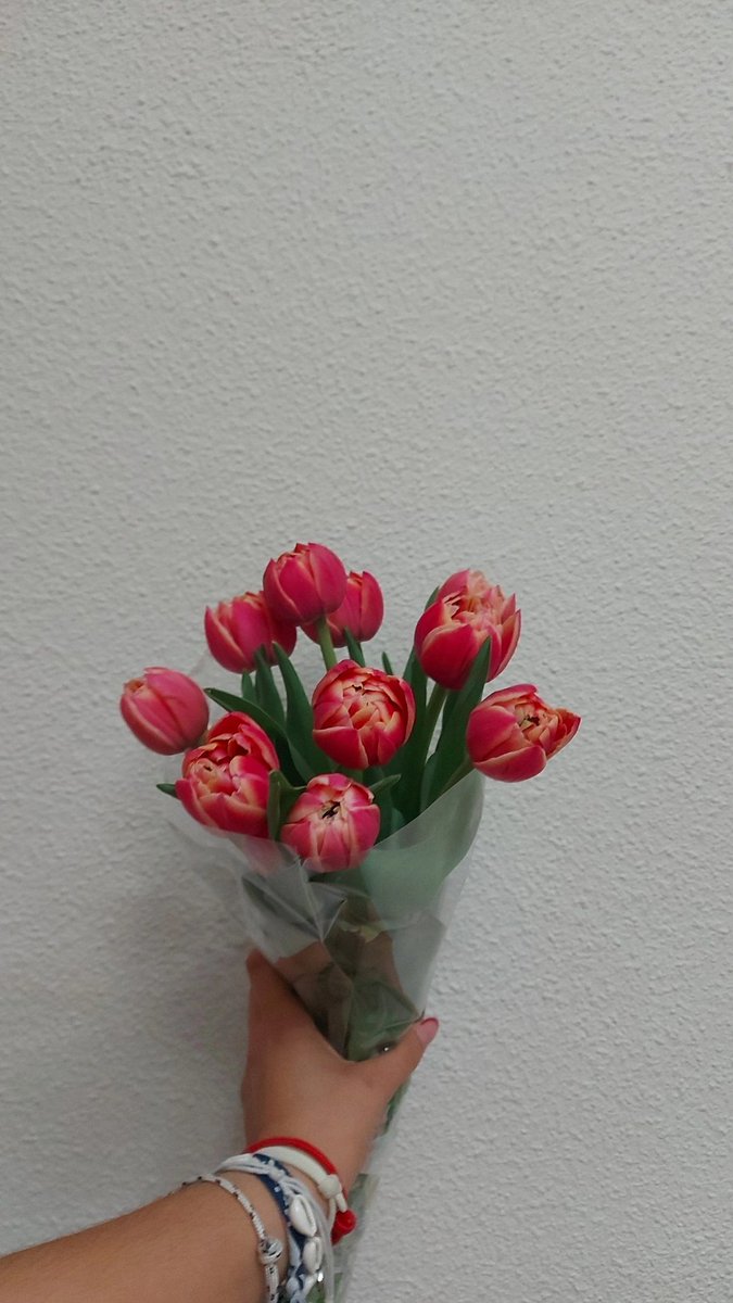 mariabc_0's tweet photo. me han regalado tulipanes🥺 https://t.co/2c97UlCdLX