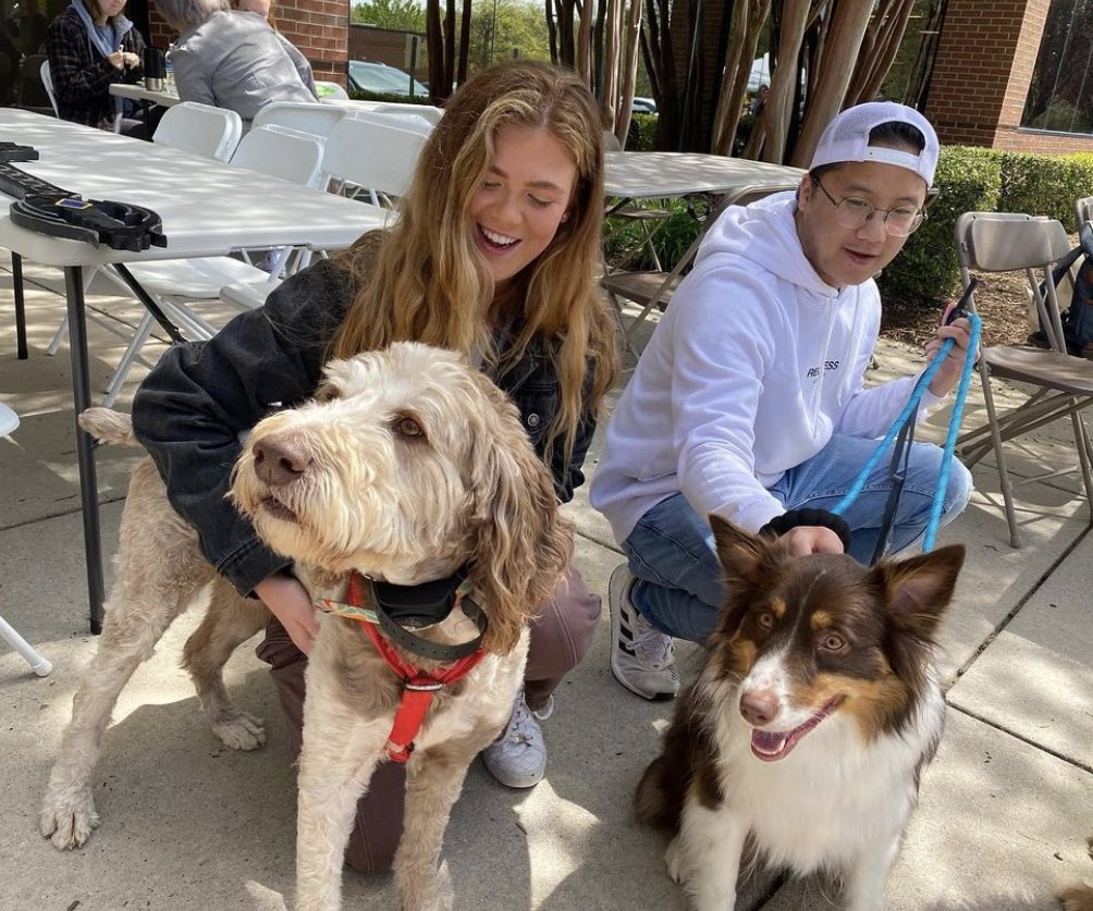 Radio Systems Corporation tweet media