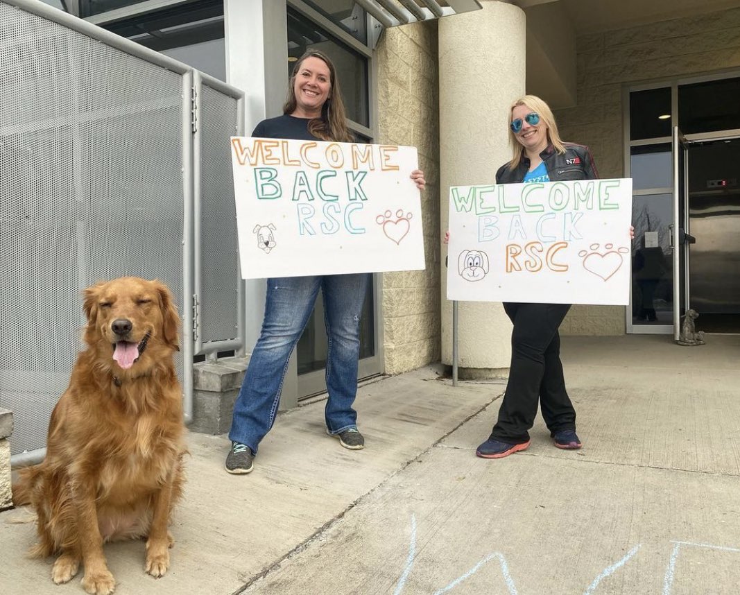 Radio Systems Corporation tweet media