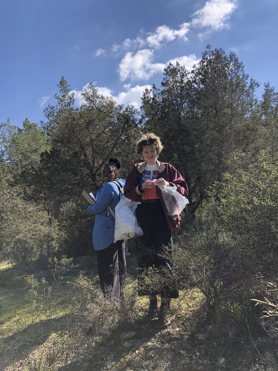 Ethan0MI's tweet image. Serious #science, no fun to be had 👀 #ecology #queerscience