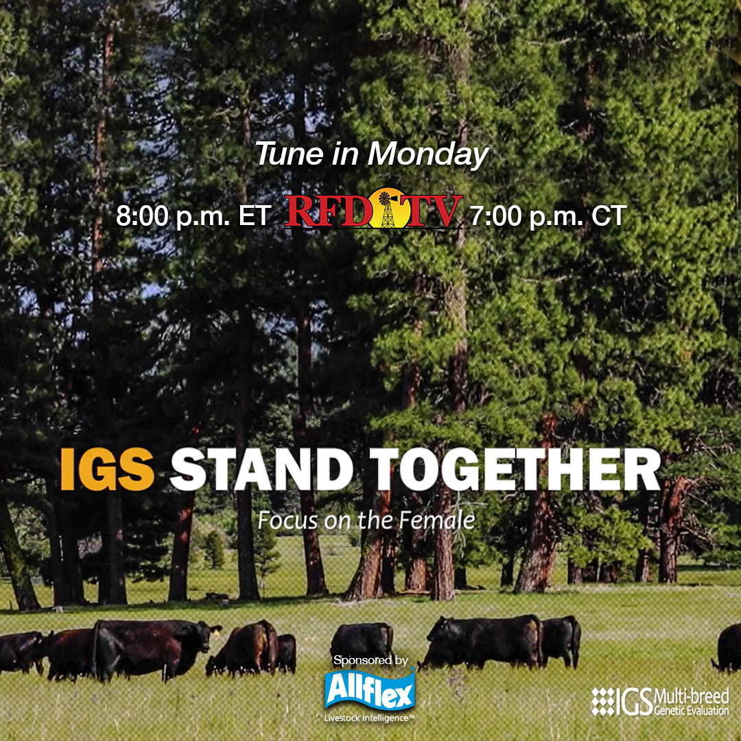 IntGeneticSolutions (@igsbeef) on Twitter photo 