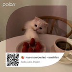 Photo by Polarr (@polarr)