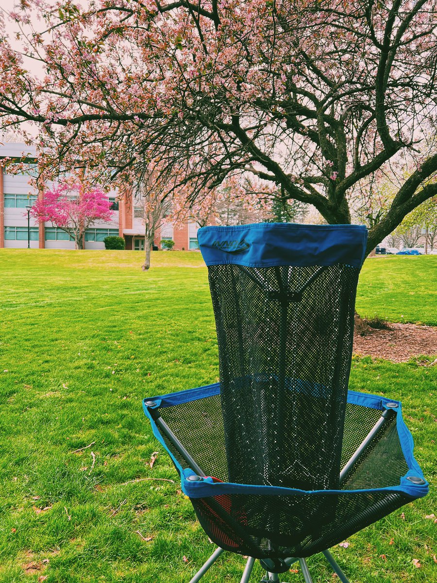 Lily 💙💛 tweet media