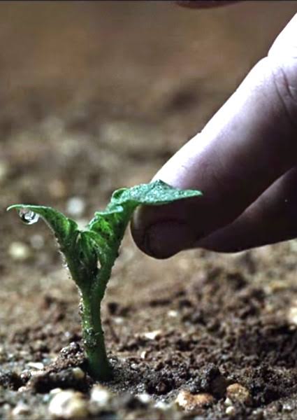 sagarbhandare's tweet photo. if we can imagine to plant on #Mars in a movie named  #themartian then why can't we #plantonetreetoday 🙏🙏 #happyearthday 🌎🌍🌏🌐🌳 https://t.co/KiYvkrtPuL