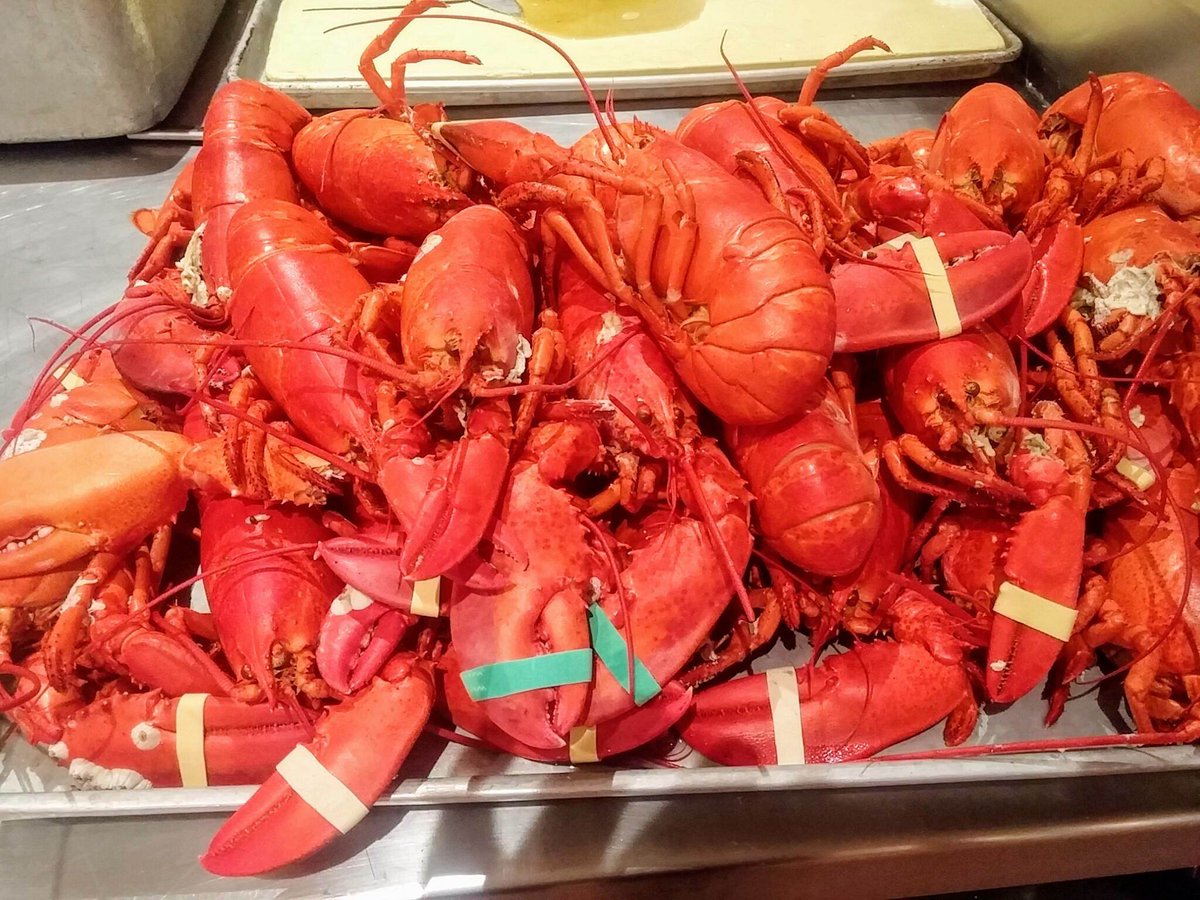 NewEnglandInfo's tweet photo. Vitamins A, B, C, D, E, F, Gee I like the food at the Summer Shack in Cambridge, Mass.! https://t.co/8IbyaqSHyN
#summershack #cambridgema https://t.co/4g6385eox3
