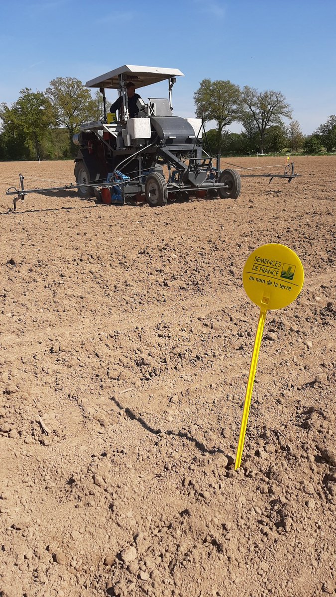 Damien Toublanc tweet media