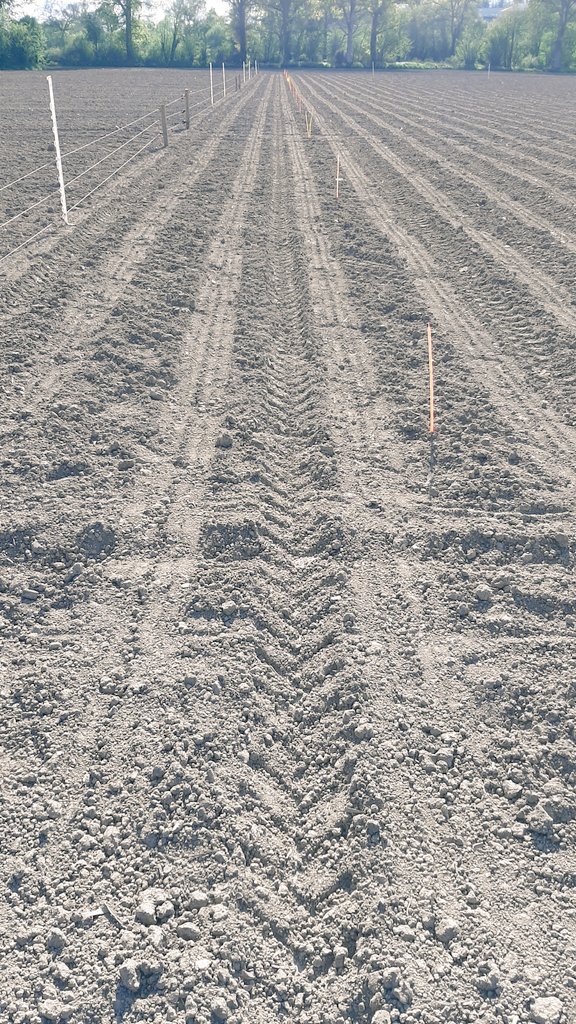 Damien Toublanc tweet media