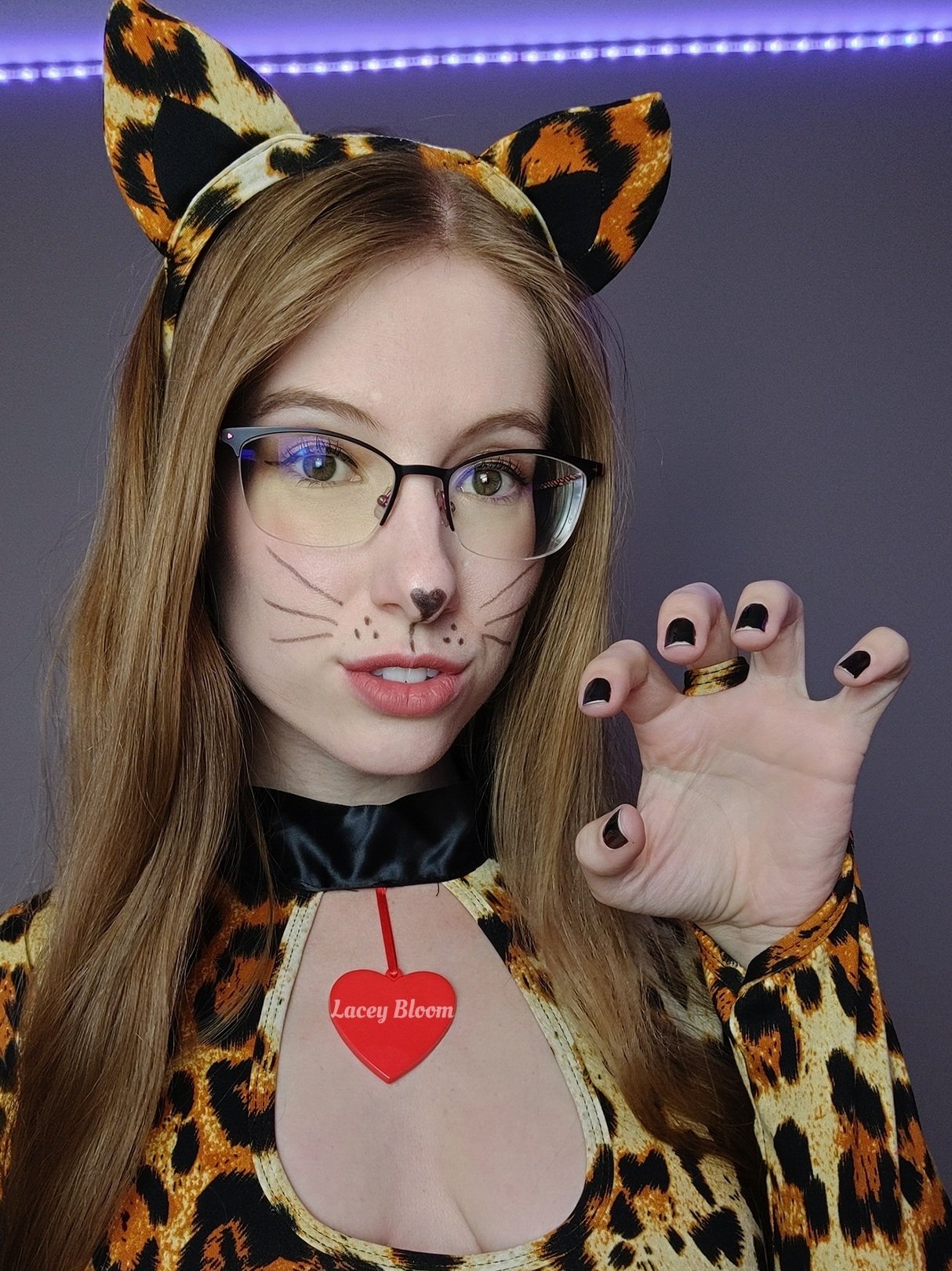 Lacey Bloom on Twitter: "Would you pet me? 🐈 https://t.co/WyvKIum1nq" / Twitter