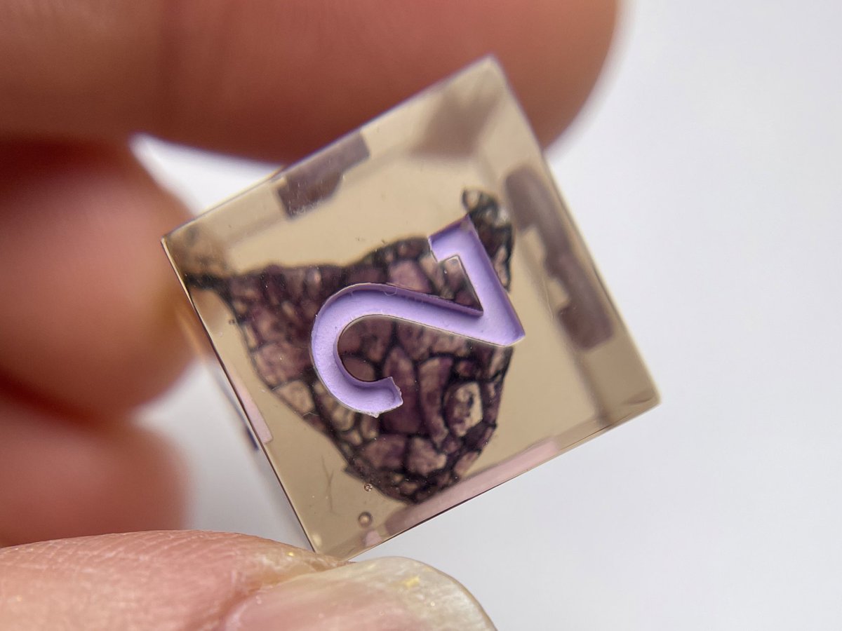 Busy Wizard Dice tweet media