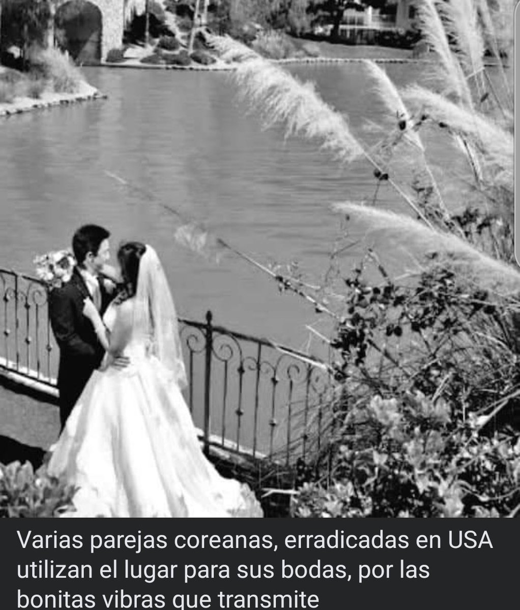 cctaetoperas tweet media