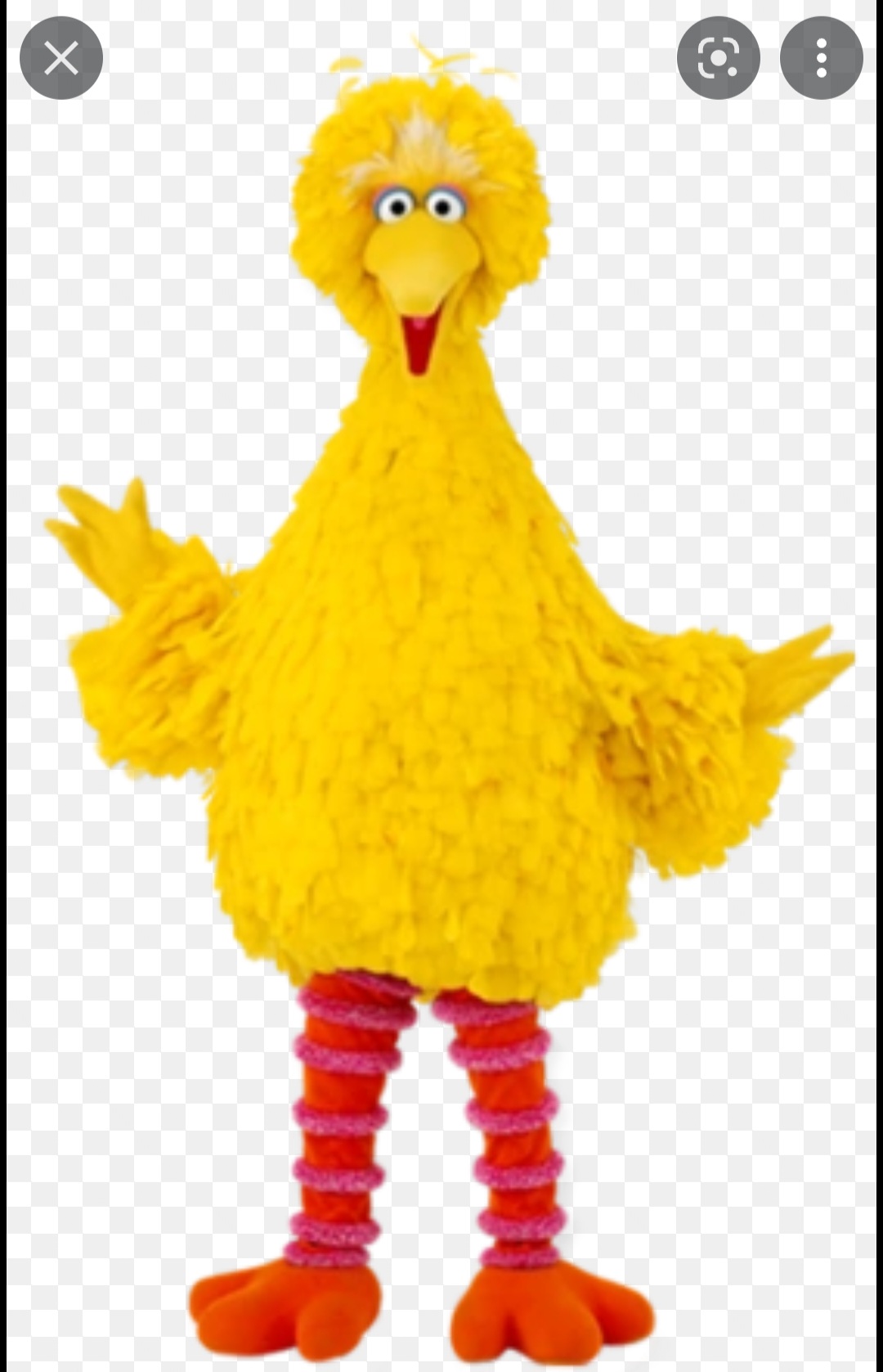 Большая птица улица сезам. Улица сезам желтая птица. Улица сезам персонажи большая птица. Большая птица улица сезам. We big bird.