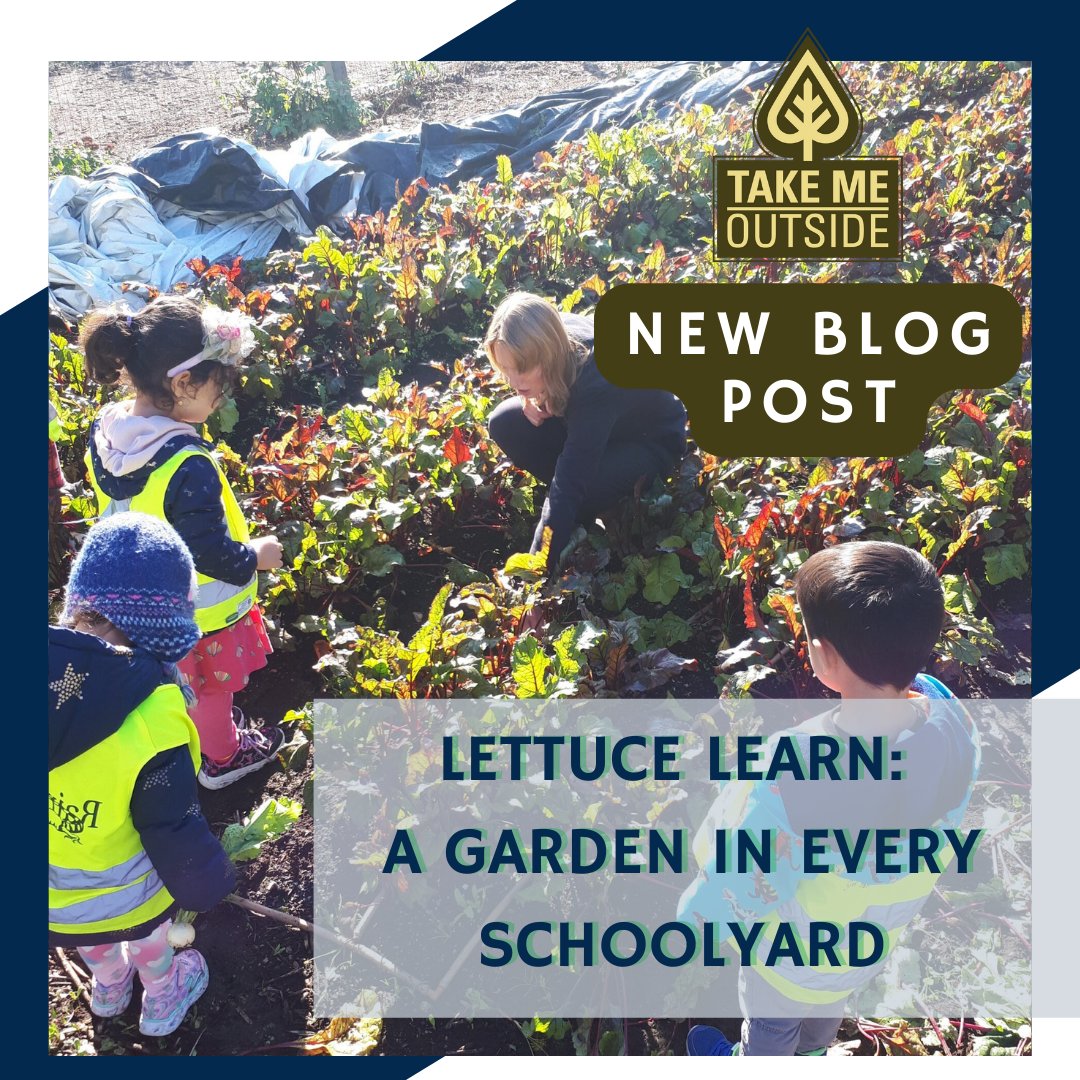 takemeoutside's tweet photo. April is #NationalGardenMonth and to celebrate, our latest #TMOBlog post "Lettuce Learn: A Garden in Every Schoolyard" is full of tips, tricks and recommendations to start gardening with students! π₯¬
Are you ready to grow?π±
Read the full blog post here: https://t.co/YJhG9GQkj1 https://t.co/OjLZjKnSMx