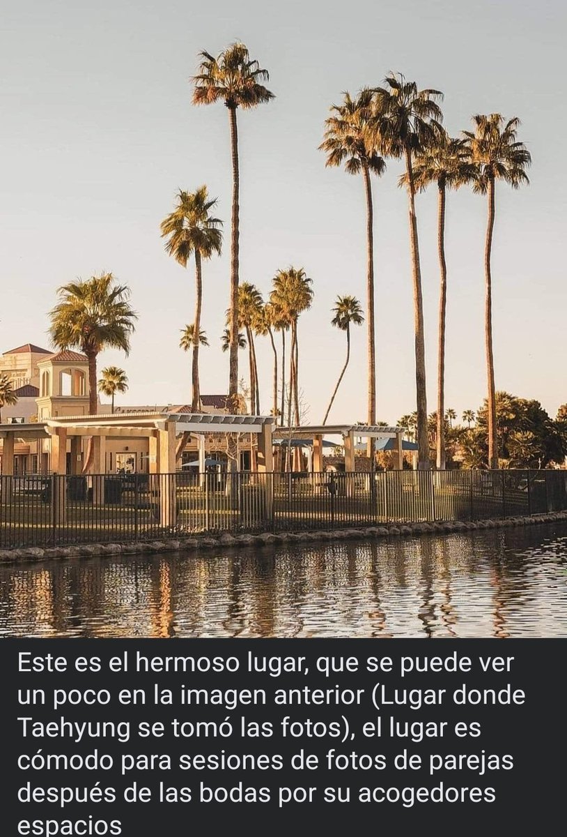 cctaetoperas tweet media