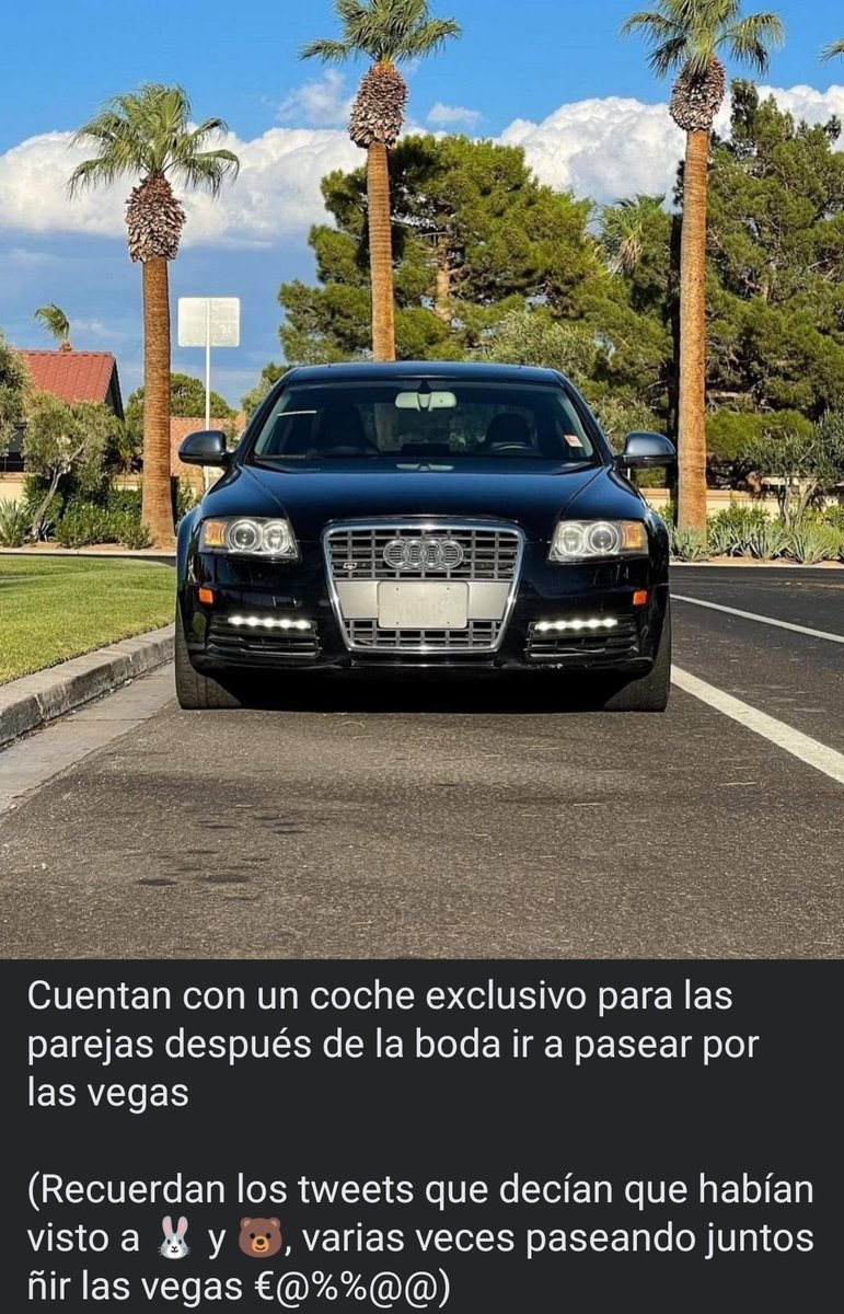 cctaetoperas tweet media