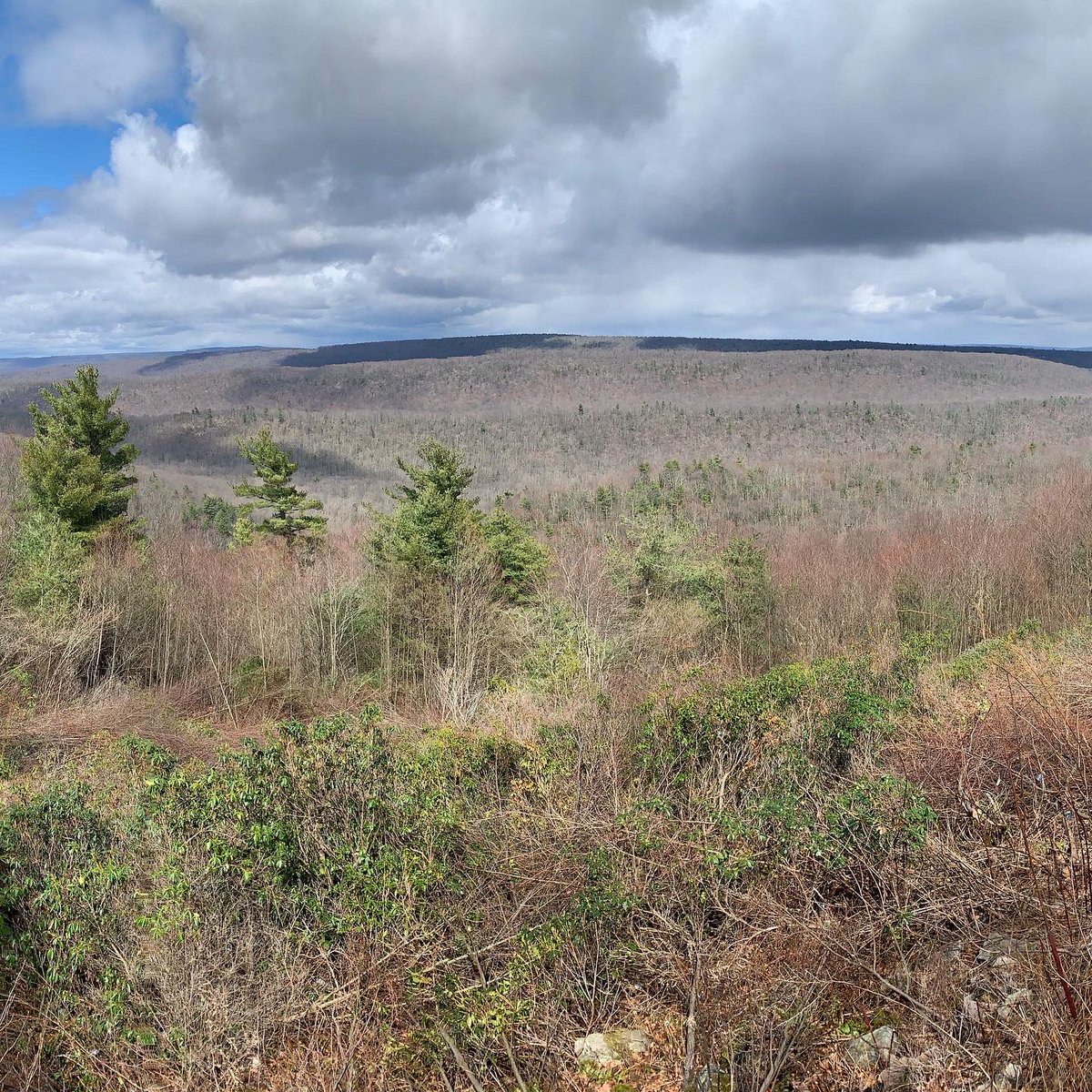 Mr. Jared Moore tweet media