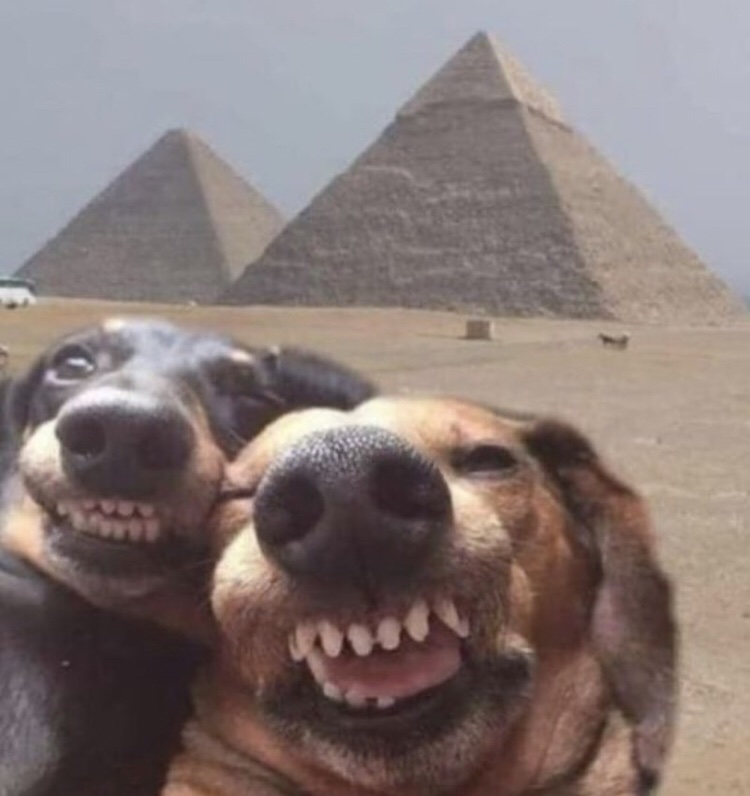 Audrey Carlsen tweet media