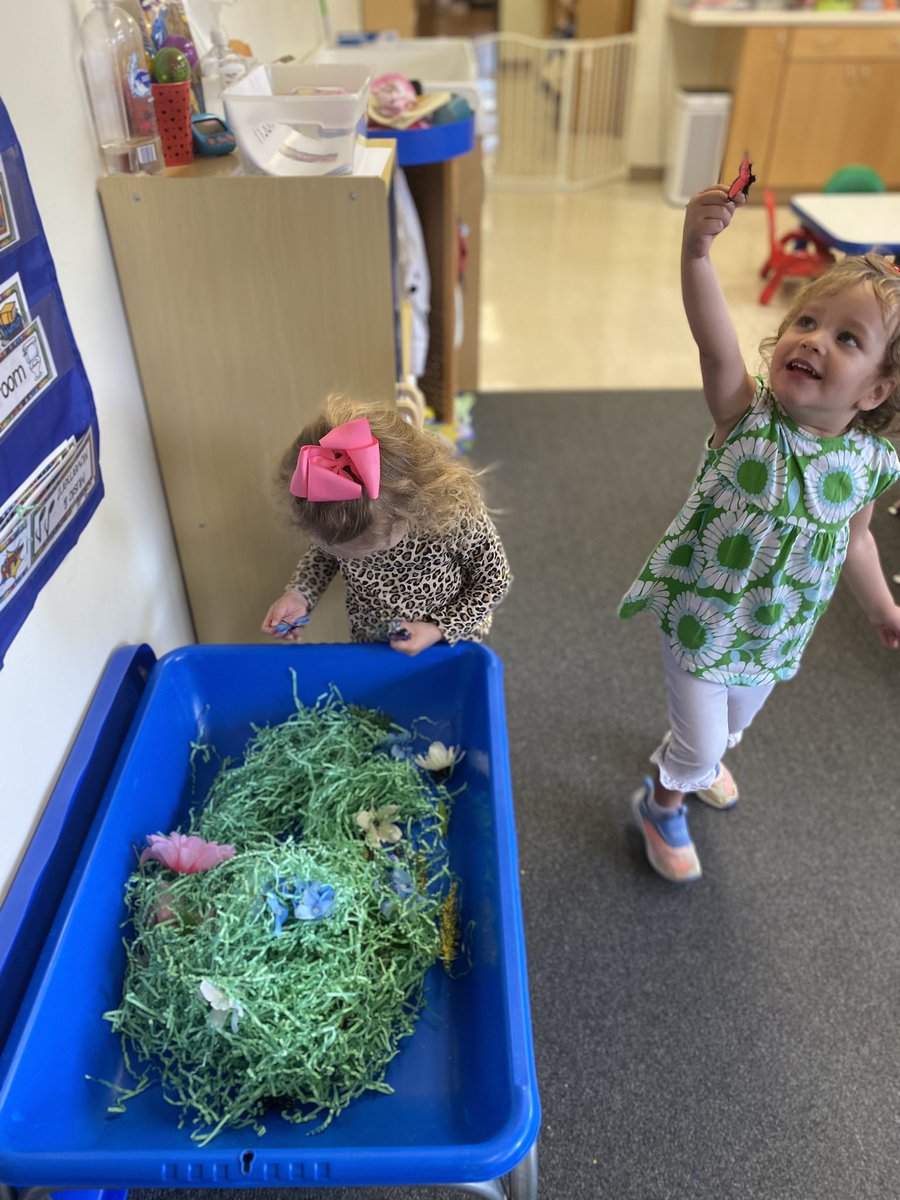 CCLSvalencia's tweet photo. Learning all about Spring in our 2’s class! @CCLSChargers https://t.co/cymuTadv4a