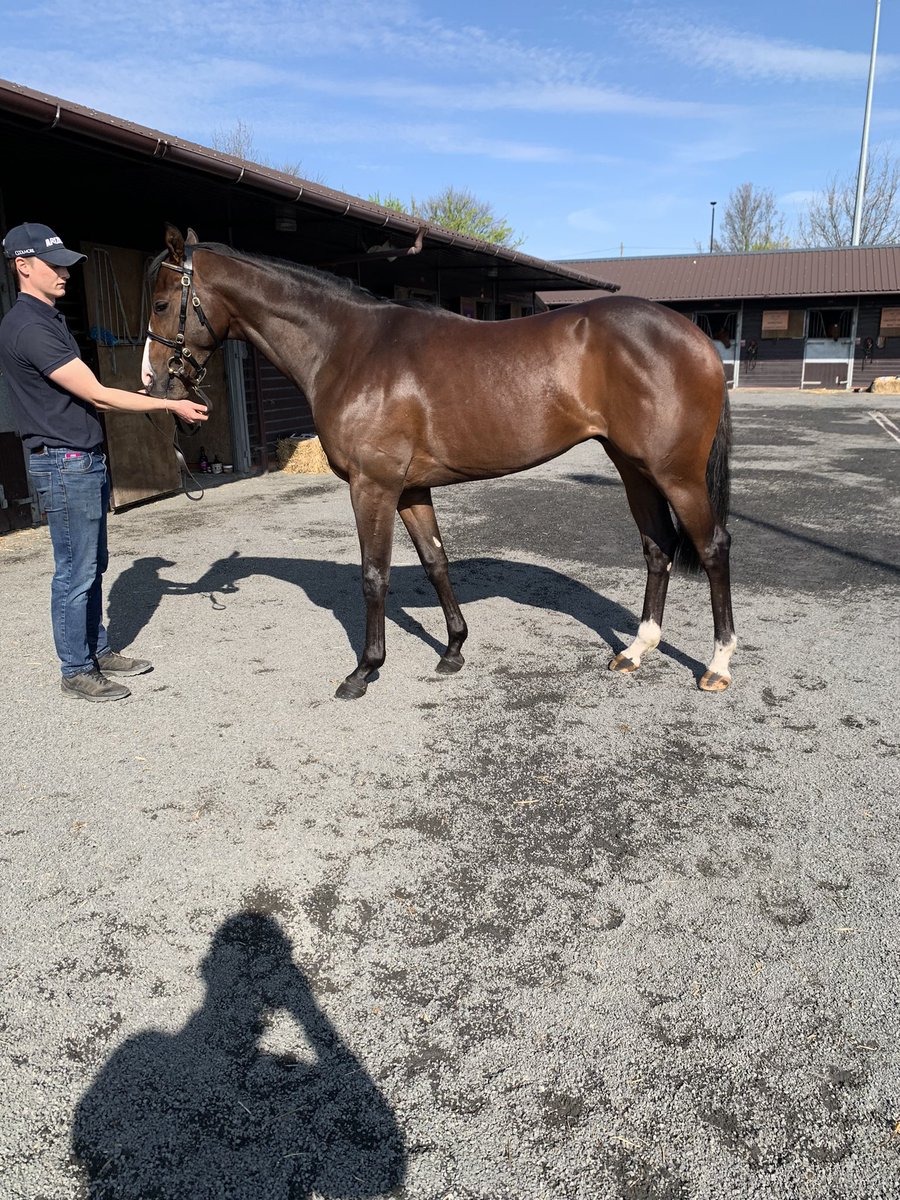 Hugo Mc Dermott tweet media