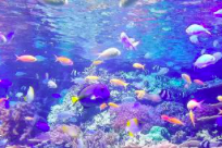 Our April newsletter is now available! News, initiatives, and research updates from our team and our colleagues: mailchi.mp/c5eb634167bc/t…

#healthevidence #climatehealth #earthday2022 #integrativehealth