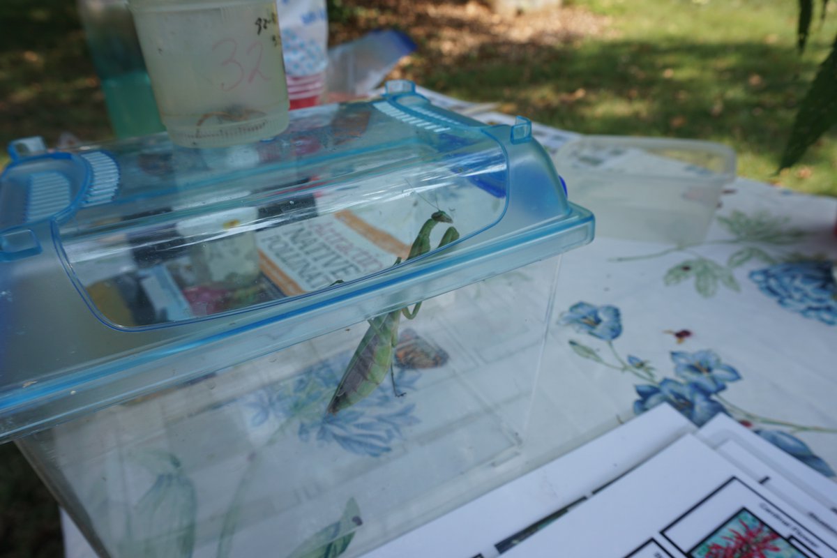 Sustainable_UNC's tweet photo. #TBT to our last #BioBlitz. Who's joining us for tomorrow's #EarthDay BioBlitz at Battle Grove?

We heard there will be homemade lemonade... https://t.co/p1ygfS4oGu