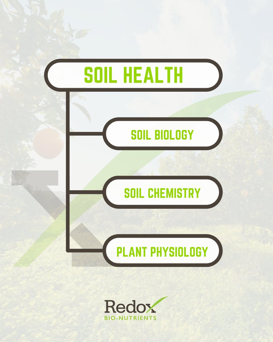 redoxgrows's tweet image. Healthy soil supports optimum soil biology and plant growth. Imbalances in soil chemistry, soil biology, or plant physiology lead to reduced soil health. We&apos;re going to dive into each of these topics to discuss the challenges and the Redox solution. #soilhealth #soilsolutions