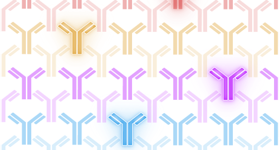 activemotif's tweet photo. Have you seen our growing list of antibodies published for use in CUT&RUN? Our curated list of publications is over 40 to date! https://t.co/gkC5zbujs3 #Epigenetics #CUTnRUN #CUTnTag https://t.co/Xm7hFeIMAr