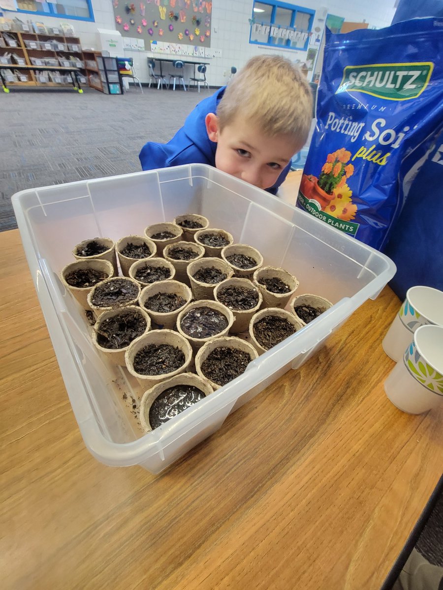 DegroodMegan's tweet photo. We had a preview to our next week's text set: Understanding the Natural World with Planting and Growing. A special thank you to our parent volunteer!
#textconnections #plantingfun #learningfromdoing #MarvelousMelhouseMindMoovers https://t.co/M5lTCDfL2E