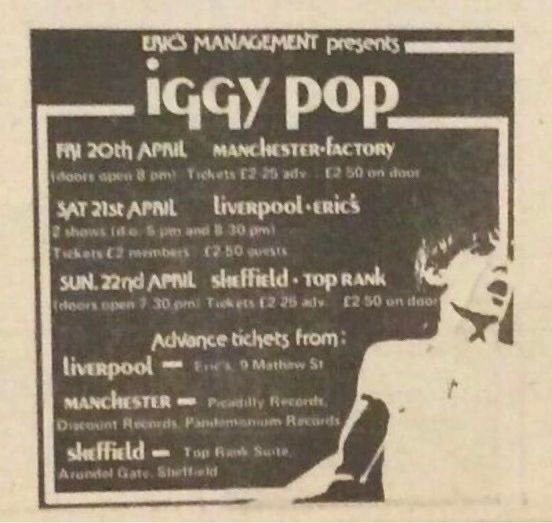 FUTURAMA FESTIVAL tweet media