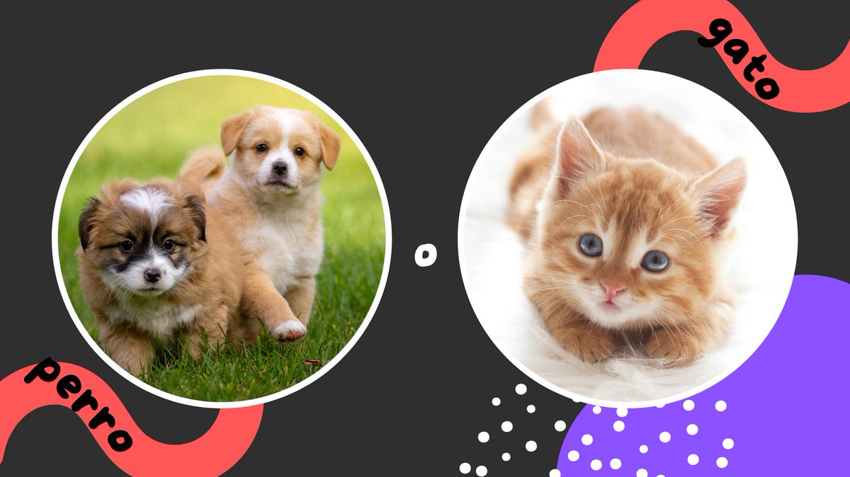 Alejandra Lopez tweet media